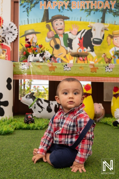 Celebrating a joyful birthday in Curacao with decorations and playful farm theme