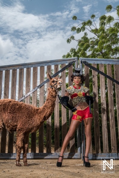 Exotic fashion showcase featuring a model and a llama in Curacao under a blue sky