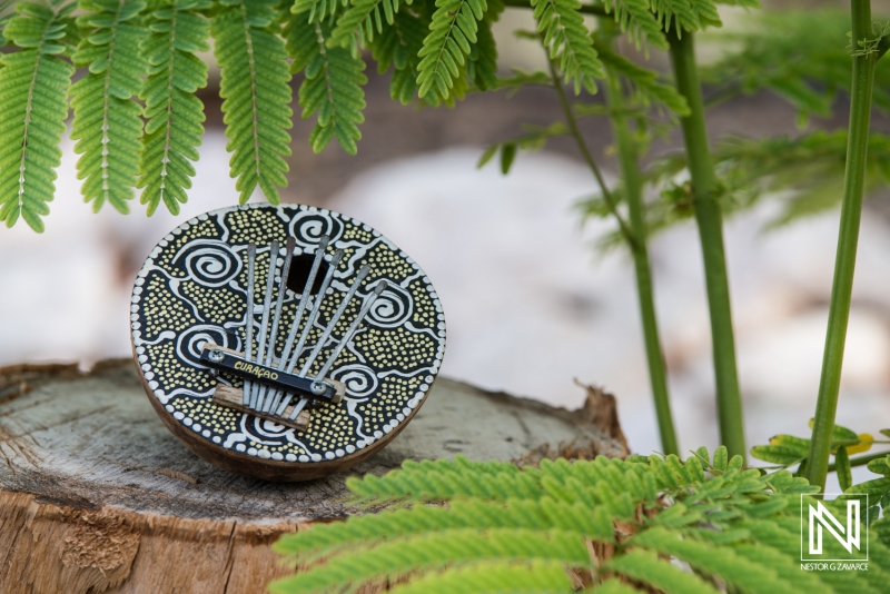 Curacao brand products on a wooden surface surrounded by greenery in a calm tropical setting