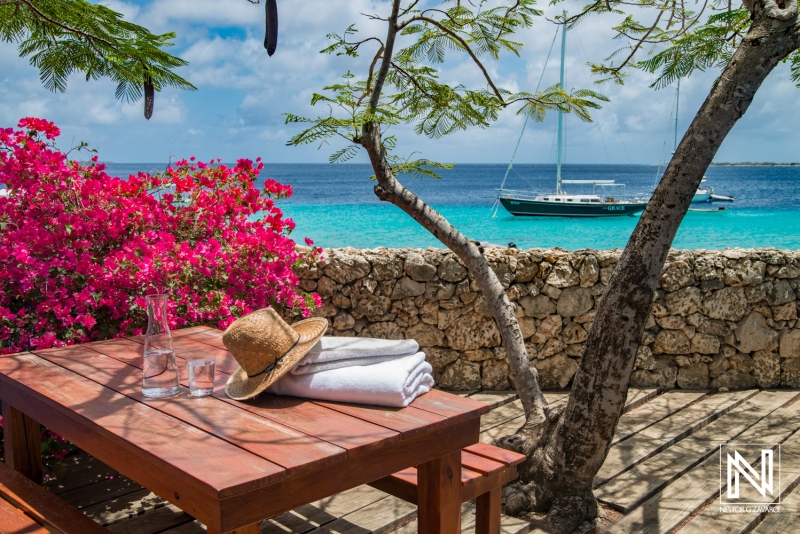 Relaxation by the beach in Curacao with vibrant flowers and a sailboat in clear waters