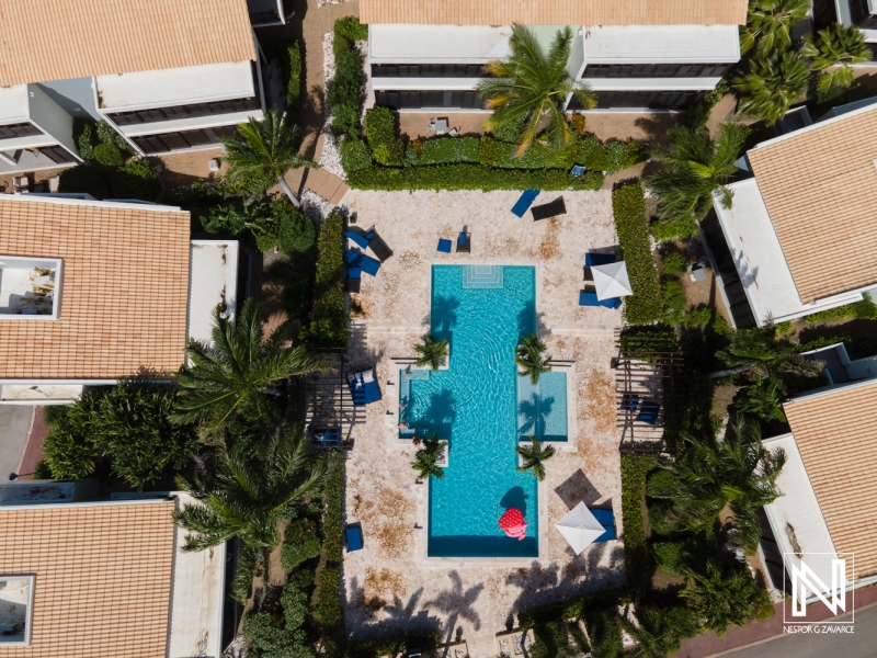 Relaxing retreat in Curacao with a serene swimming pool surrounded by palm trees and inviting lounge chairs during a sunny day