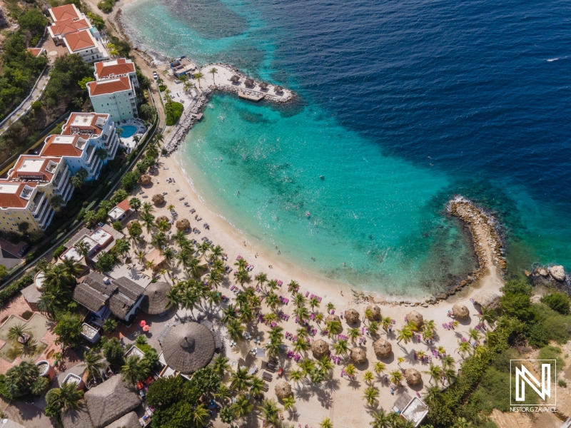 Beautiful beach view with clear turquoise water and palm trees in Curacao, showcasing a vibrant coastal atmosphere and relaxing spots for visitors