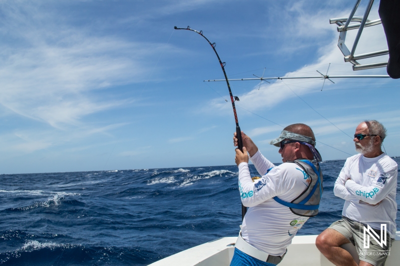 Blue Marlin Release Tournament