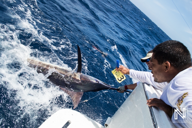 Blue Marlin Release Tournament