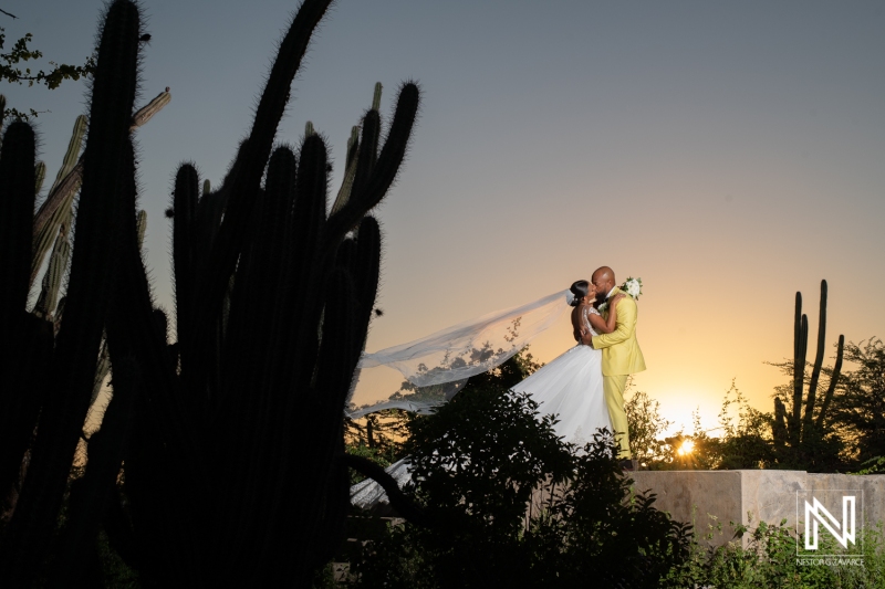 IMG_2022-01-02-00043