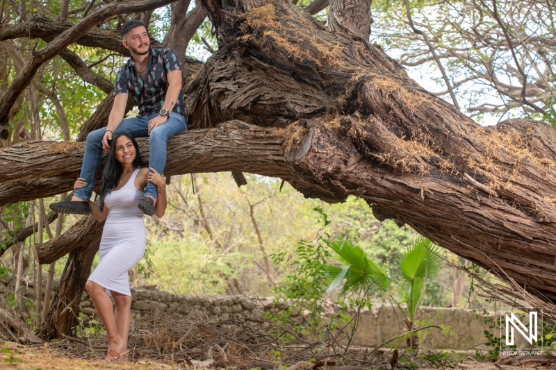 Expecting joy in Curacao with a couple enjoying a moment under a vibrant tree, celebrating maternity during a sunny day