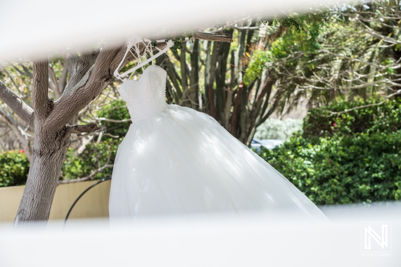 Princess Wedding Dress hanging on tree