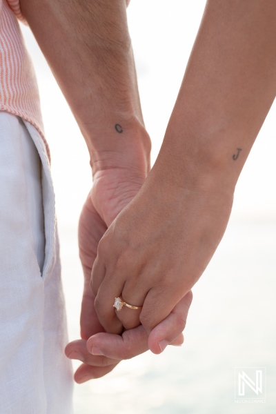 Romantic Karakter Beach Proposal
