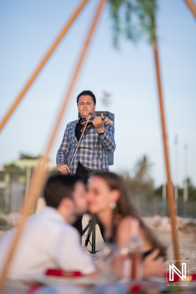 Proposal moment wih violinist