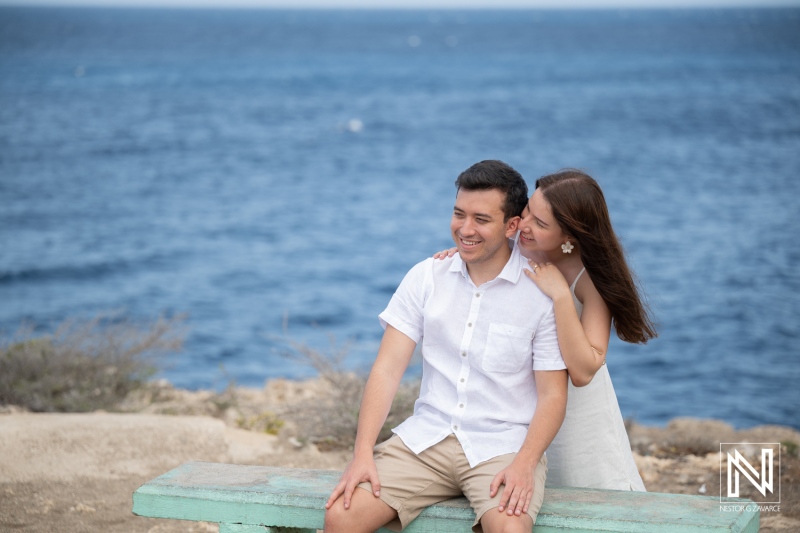 Surprise Engagement at Director's Bay