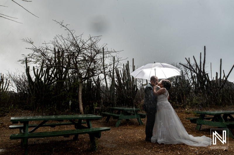 A Couple Shares a Romantic Moment Under an Umbrella While Standing Amidst Cacti During a Rainstorm in a Serene Outdoor Setting