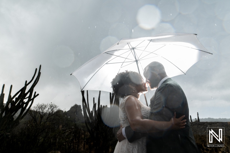 A Couple Shares a Romantic Kiss Under an Umbrella During a Rainy Wedding Ceremony in a Picturesque Outdoor Location Surrounded by Desert Vegetation