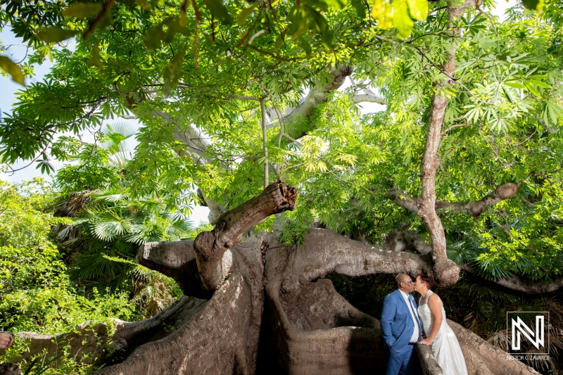 Trash the dress photoshoot at Hofi Pastor