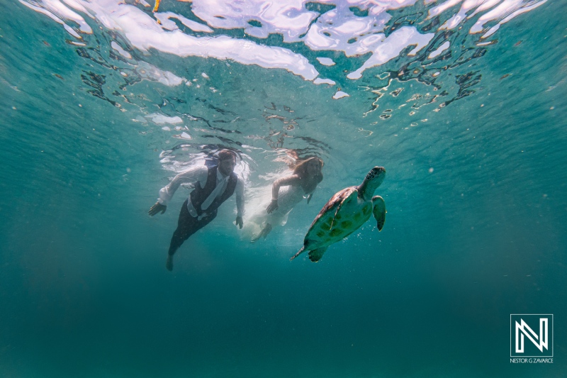 Couple swims with sea turtle in Curacao waters during an underwater photography session