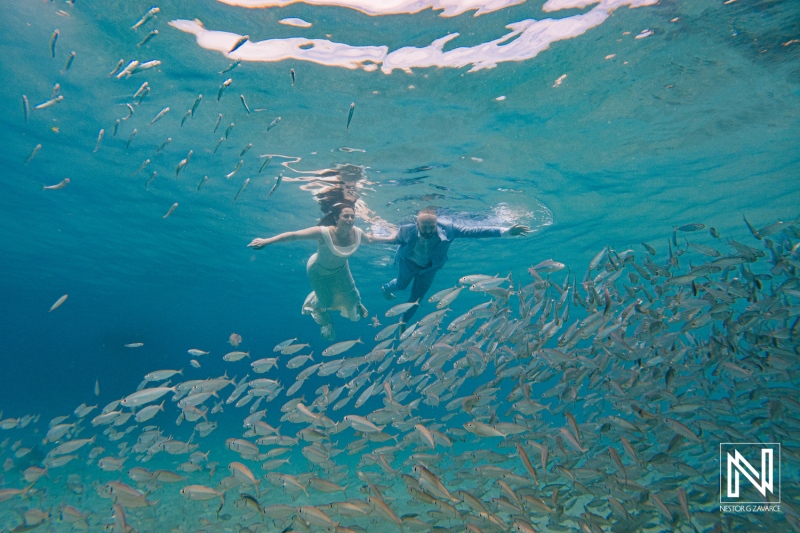 Underwater fun in Curacao with people swimming among schools of fish