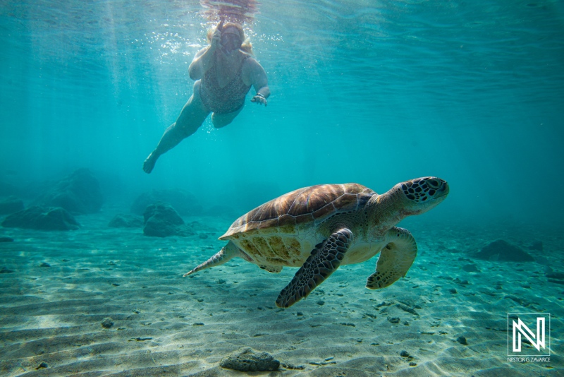 Underwater encounter with a turtle in Curacao during a snorkeling adventure