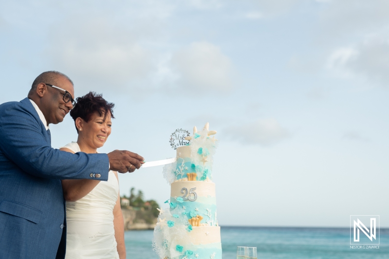 Cake cutting