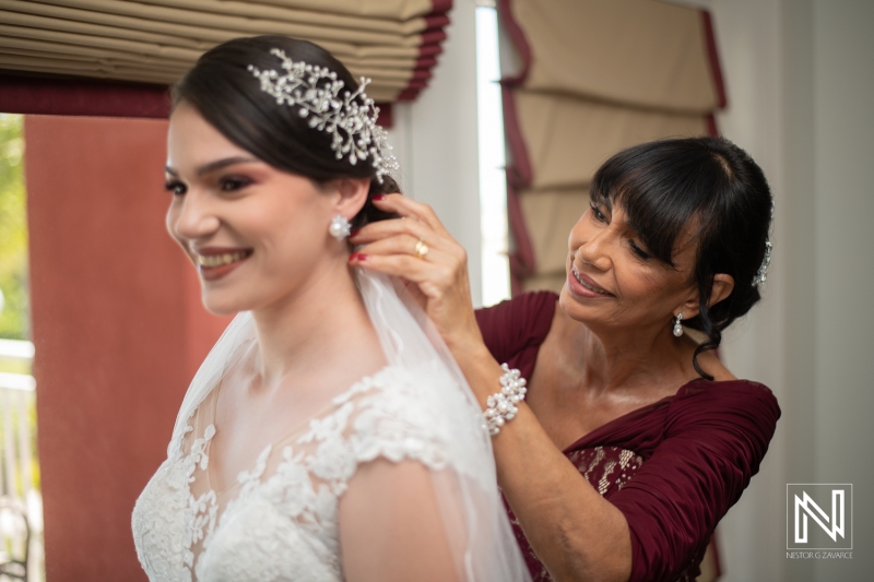 Bride's Veil