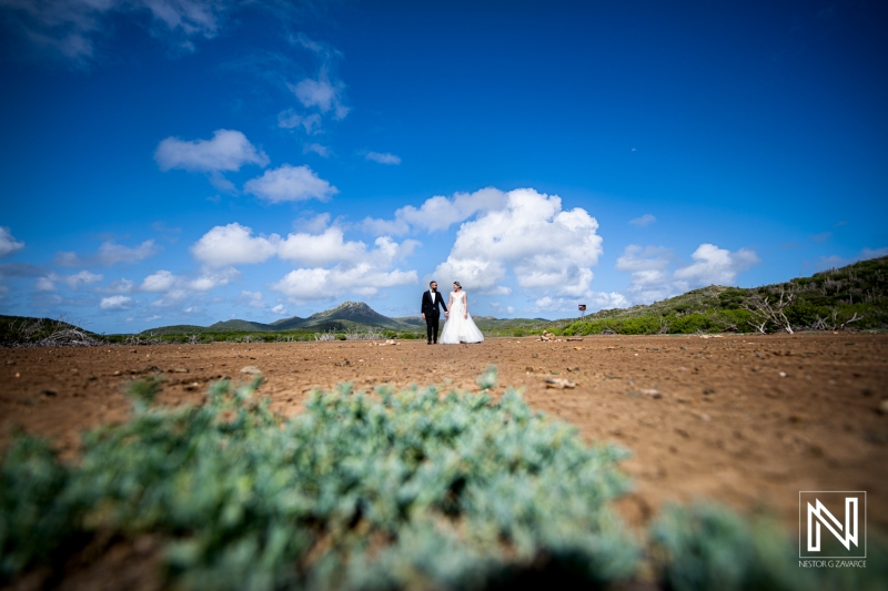 Trash the Dress