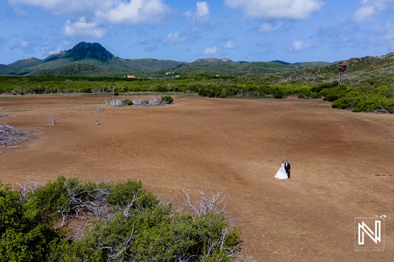 Trash the Dress