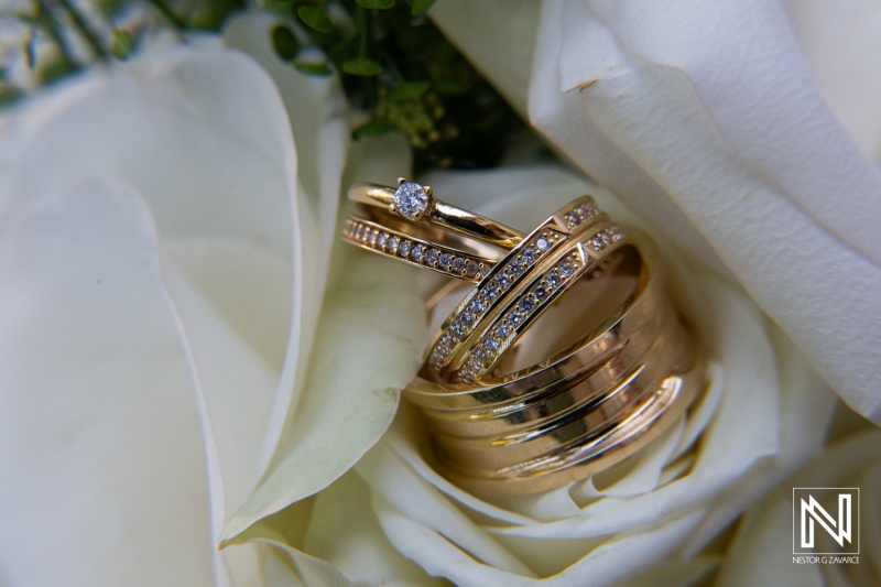 Elegant wedding rings nestled in white roses, displaying intricate details and sparkling diamonds, captured in a soft light setting