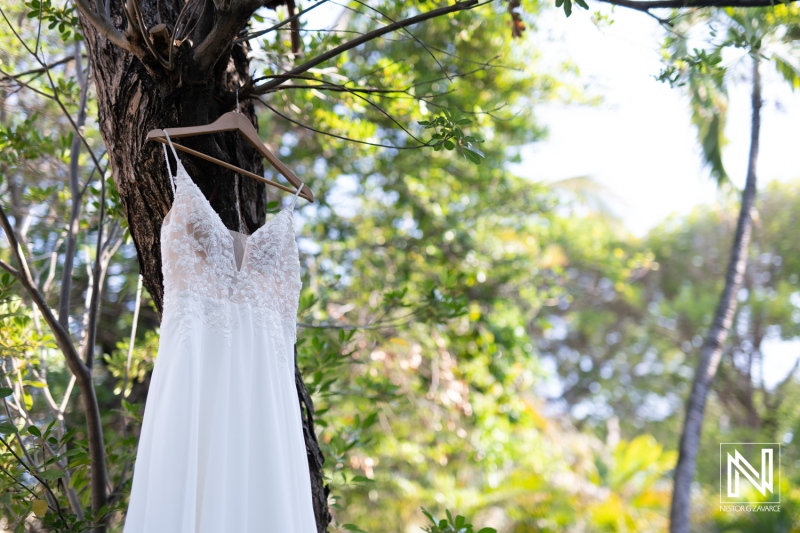 A delicate white wedding dress hanging from a tree branch surrounded by lush greenery on a sunny day in a serene outdoor setting