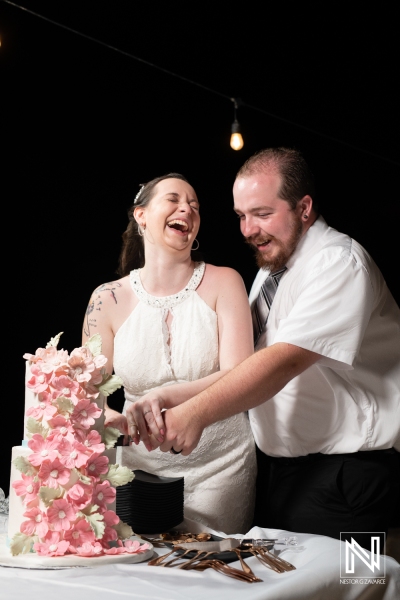 Cake cutting