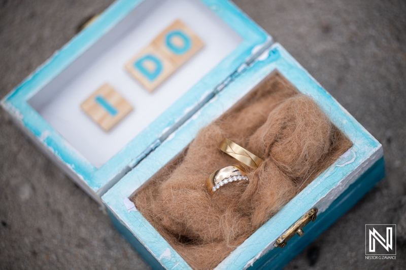 Joyful Destination Wedding Moment