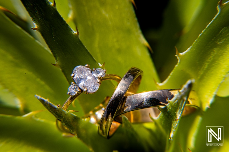 Stunning wedding rings displayed against vibrant greenery at Karakter in Curacao