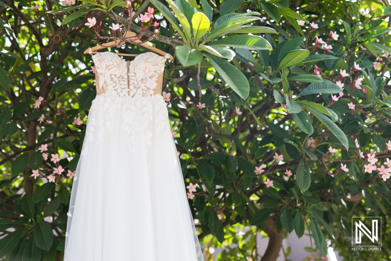 Wedding dress hanging in a beautiful tree at Karakter, Curacao surrounded by flowers during a sunny day
