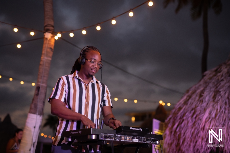 Dj at the reception
