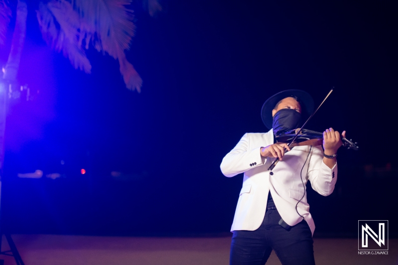 Violinist at the reception