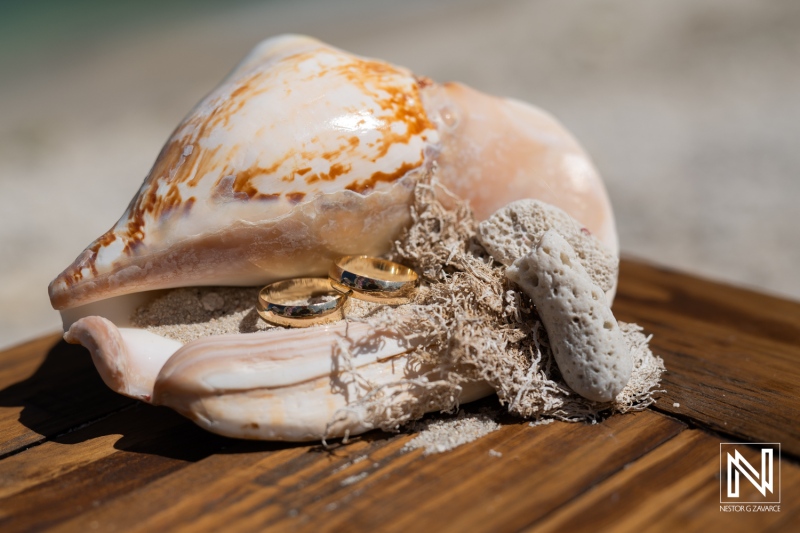 Two Wedding Rings Resting Inside a Conch Shell on a Beach, Capturing a Moment of Love and Commitment Near the Shore During a Sunny Day