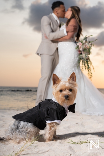 Wedding photo session