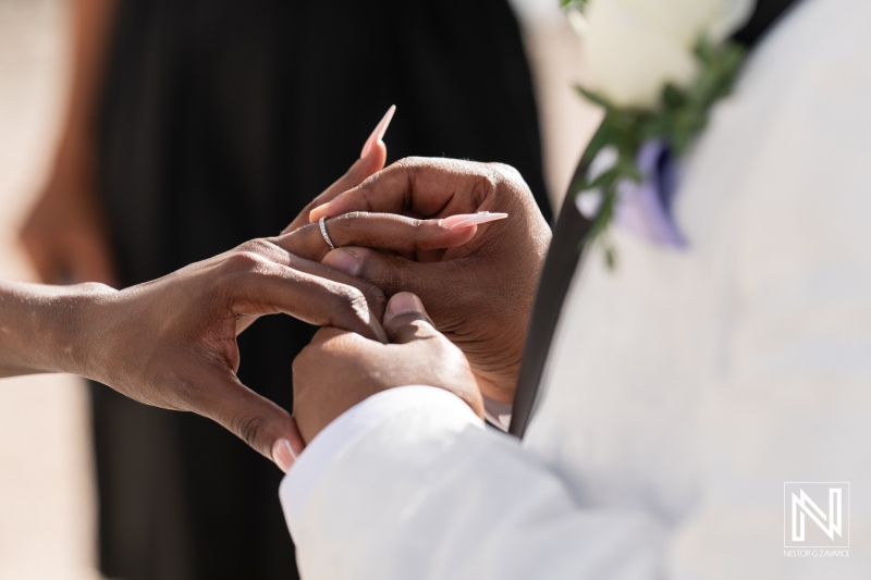 A Couple Exchanges Wedding Rings During a Heartfelt Ceremony in a Beautiful Outdoor Setting on a Sunny Afternoon, Surrounded by Friends and Family