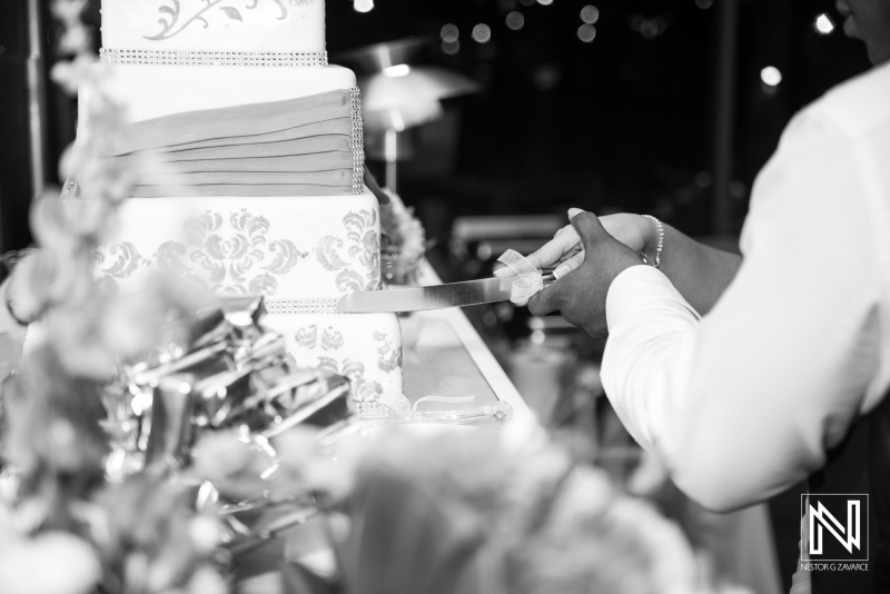 Bride and groom cutting the wedding cake