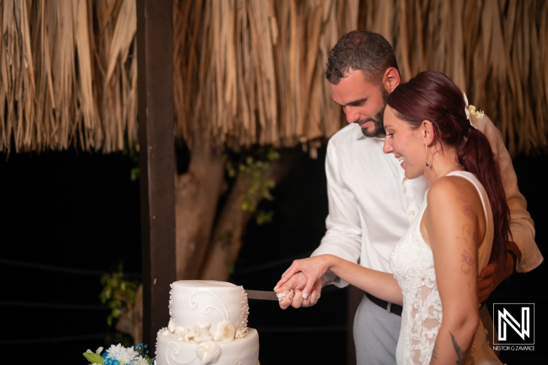 Cake cutting