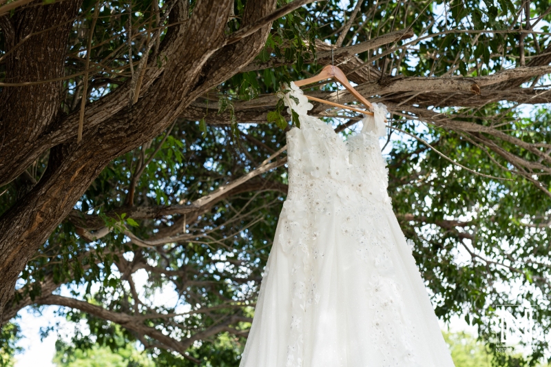 Wedding dress holding at the tree