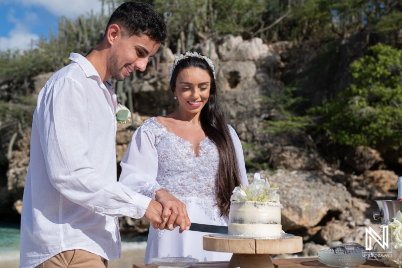 Cake cutting