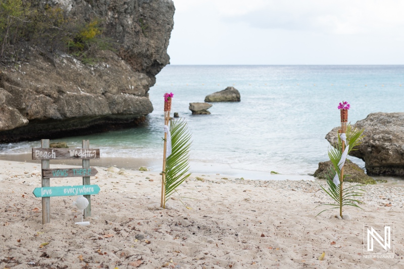 Tranquil beach view with directional signs and palm decorations near the water on a cloudy day in a serene coastal location