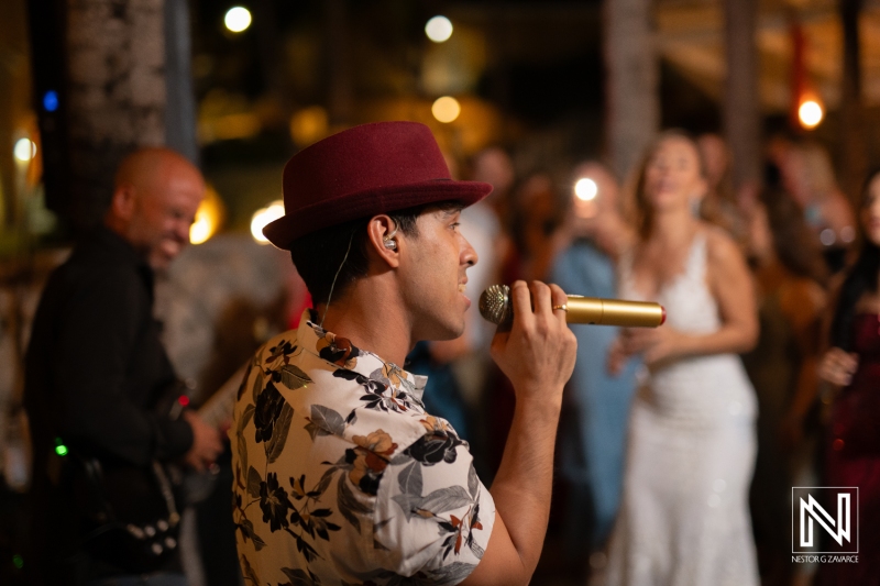 Singer at the reception