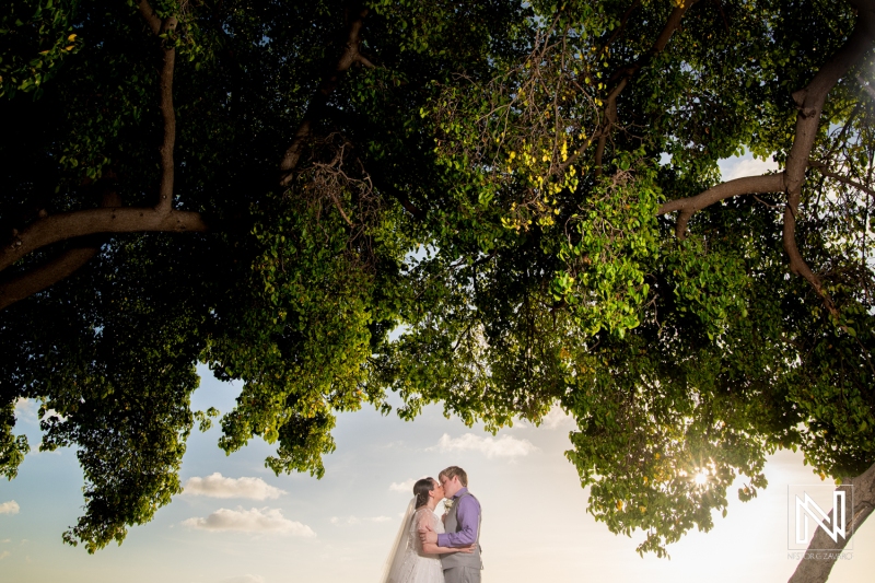 Bride and groom sunset photo between the trees