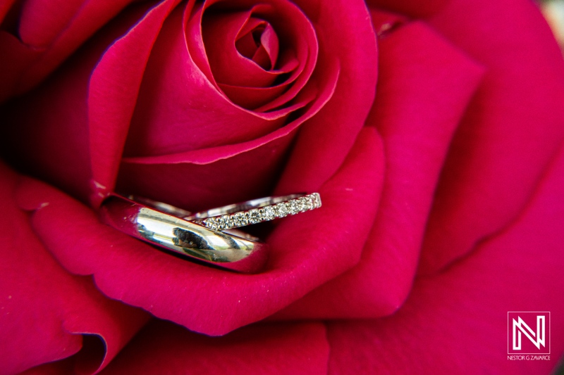 Beautiful Close-Up of Wedding Rings Nestled in a Vibrant Pink Rose During a Romantic Ceremony