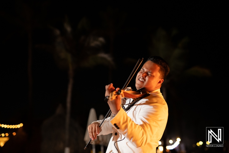 Violinist