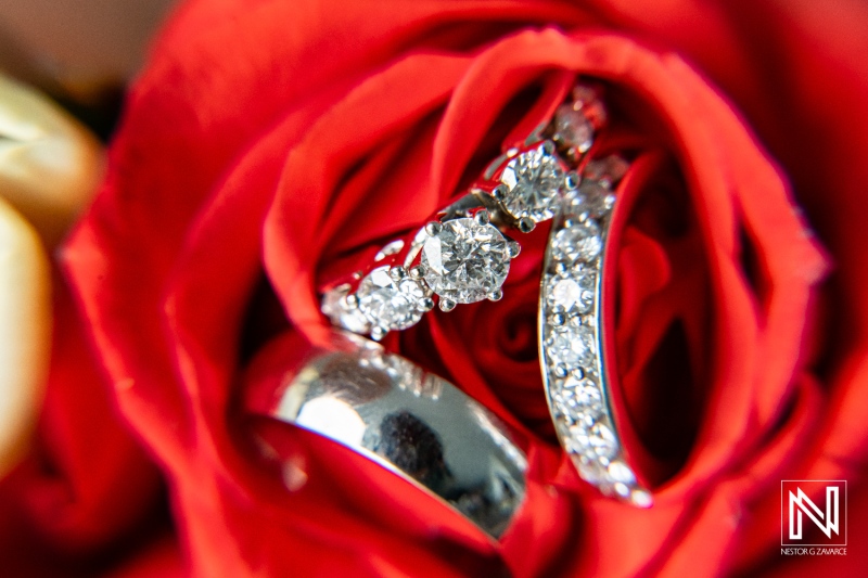 Wedding rings displayed on a red rose at Dreams Curacao Resort during a celebration of love and commitment