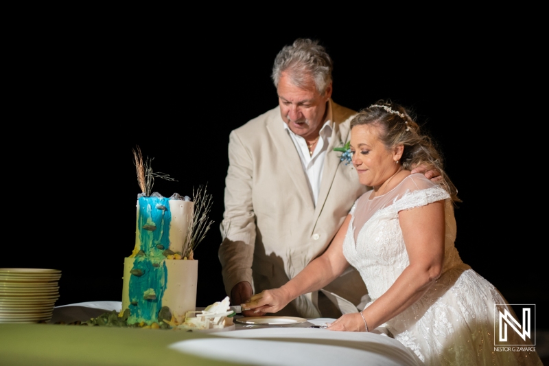Cake cutting