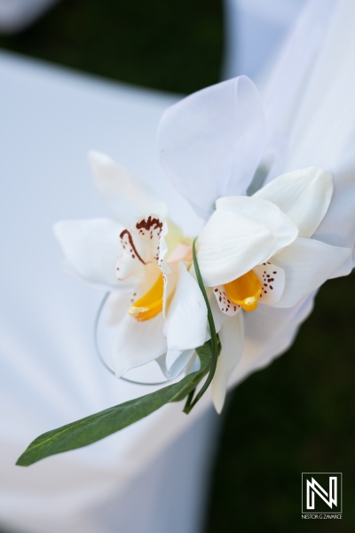 Decor flowers