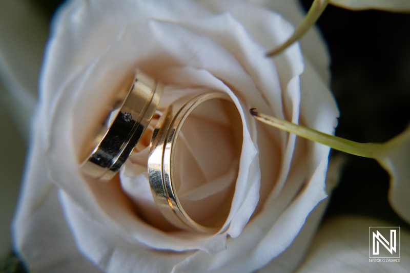 Celebrate love with wedding rings nestled in a beautiful rose at Mangrove Beach in Curacao