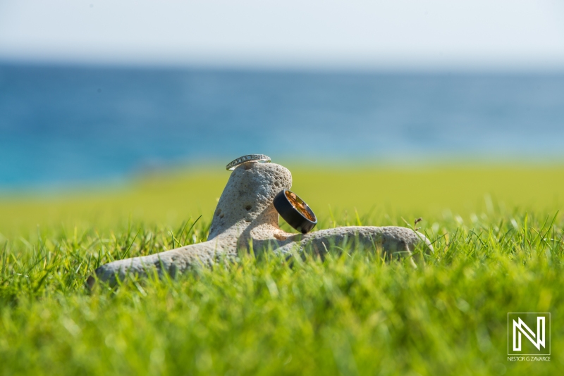 IMG_2018-06-16-00005