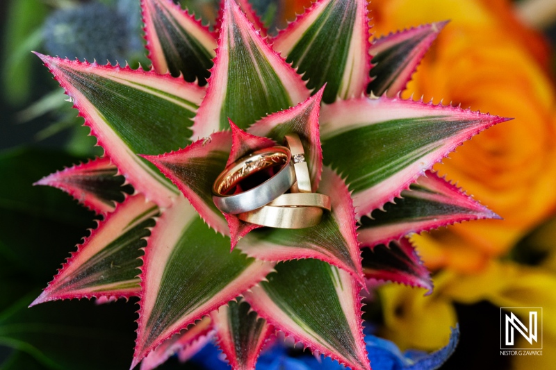Two wedding rings placed on a tropical plant during a wedding ceremony in Curacao on a sunny day
